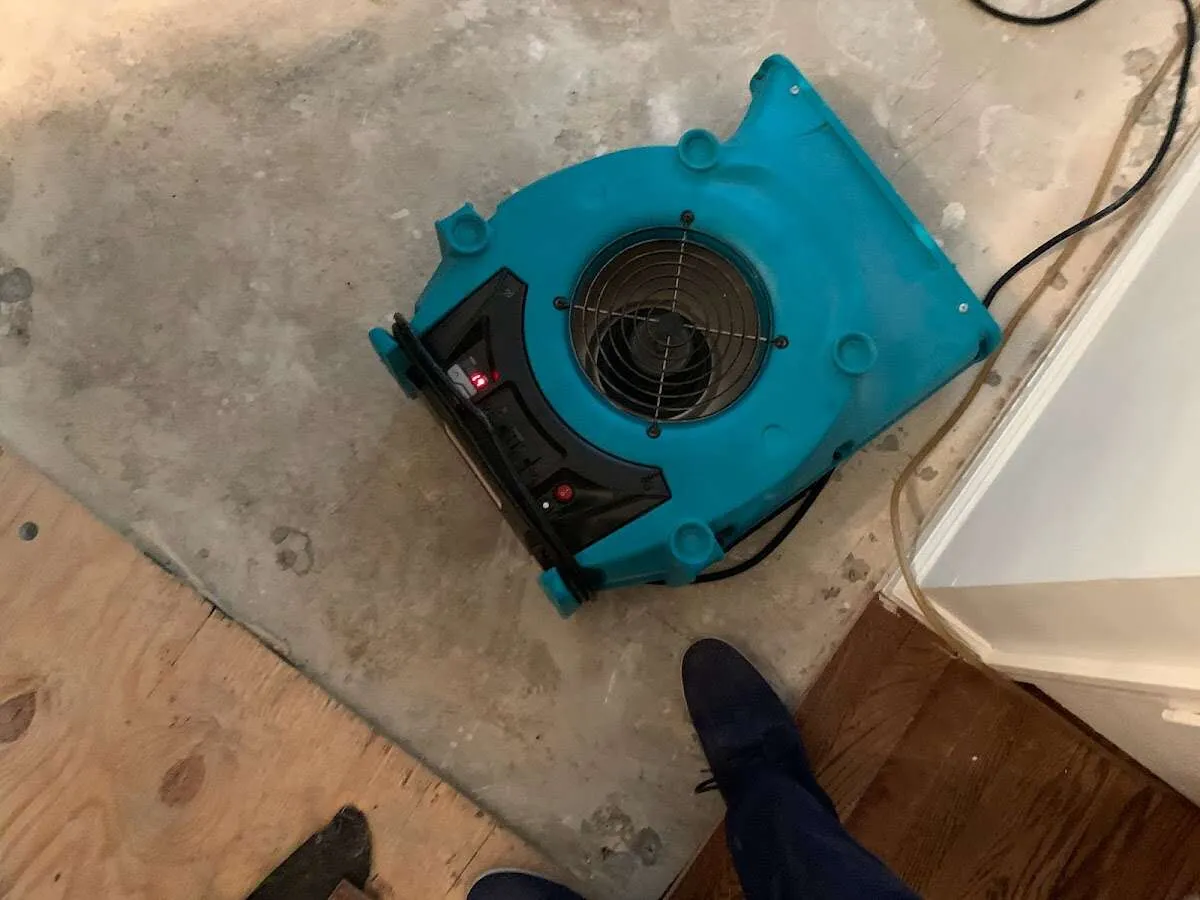 Air mover drying subfloor during Commercial Water Damage Restoration in Mount Vernon